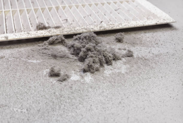 Best Duct Cleaning for Homes  in Monarch Mill, SC
